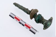 Foto von Bronzespinnrocken (NHMW-PRAE-035749)